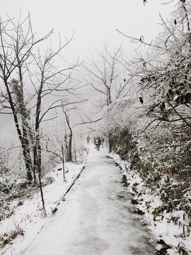 雪地行走的人