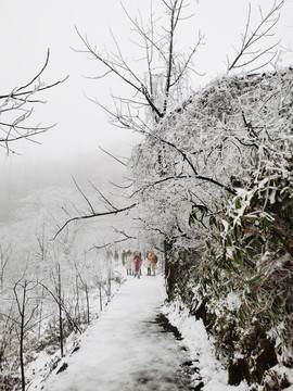 雪地行走的人