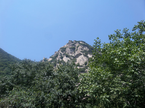 翠华山