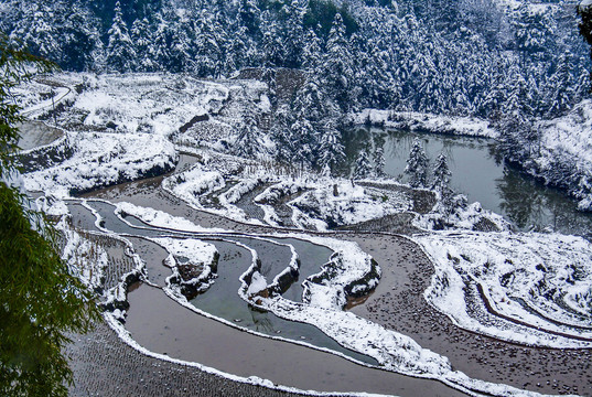 重庆迎来大降雪