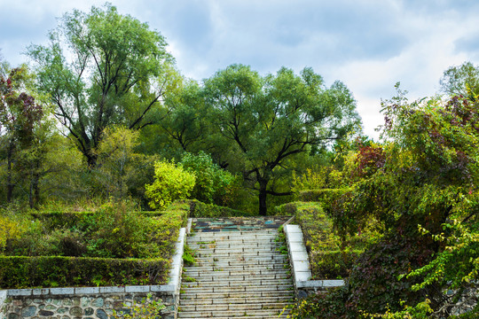 阶梯步道