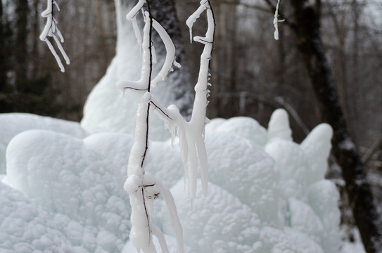 冬季东北雪景雾凇树挂