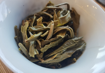 普洱茶底