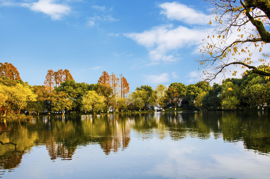 西湖风景画