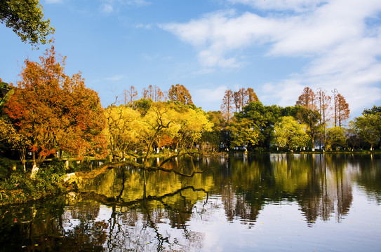 西湖风景画