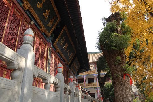 宝通禅寺