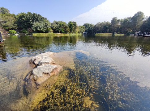 海珠湿地公园