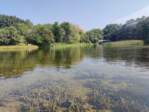 海珠湿地公园