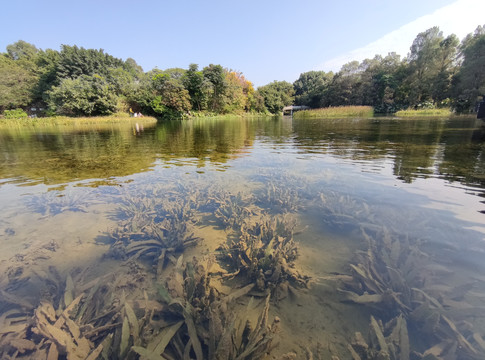 海珠湿地公园