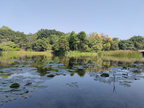 海珠湿地公园