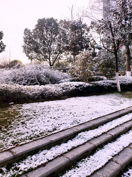 雪后的树木和草地台阶