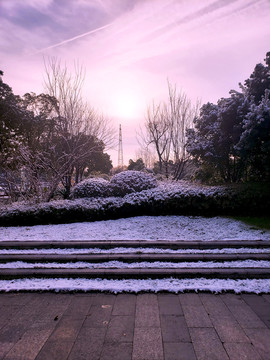 雪后的灌丛和台阶