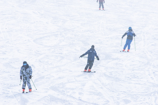 滑雪运动