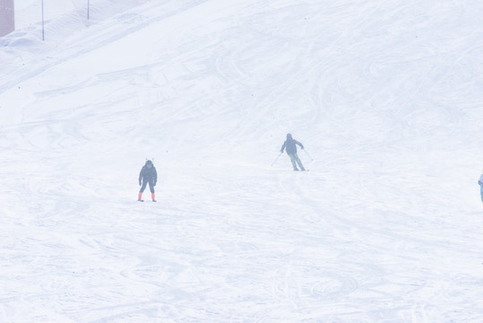 滑雪运动