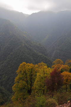 山区秋色