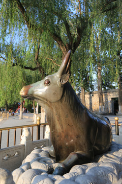 北京皇家园林颐和园铜牛
