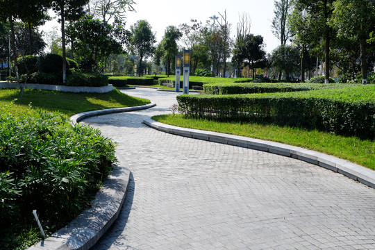 绿化道路设计