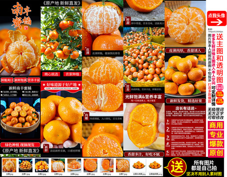 砂糖橘詳情南豐蜜橘詳情主圖