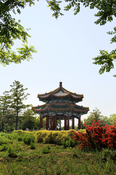 北京城市风光北京南海子公园