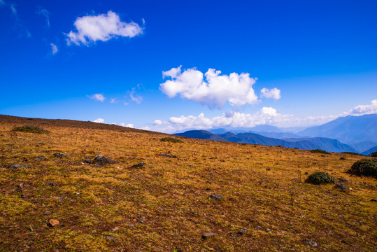 高山草原风光