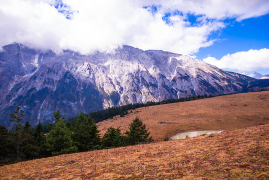 高山草原风光