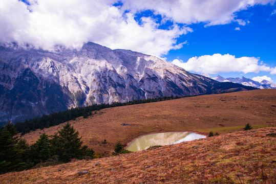 牦牛坪高山牧场