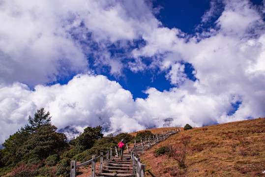 牦牛坪高山牧场