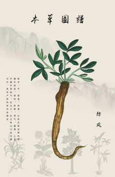 防風(fēng)