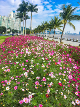 珠海市情侣路