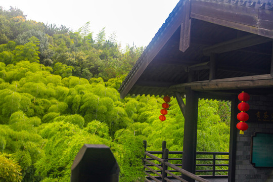 竹林古院