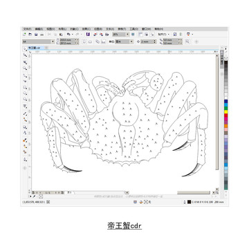 帝王蟹cdr矢量图