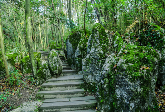 峰奇怪石山绿园林