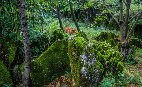 奇峰怪石山绿