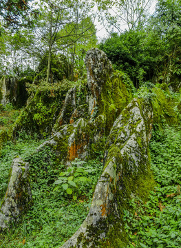 奇峰怪石山绿