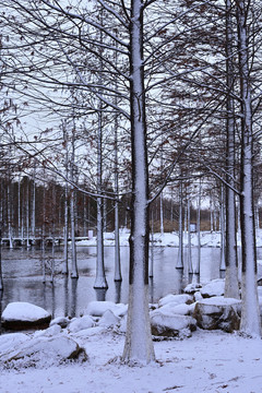 雪景