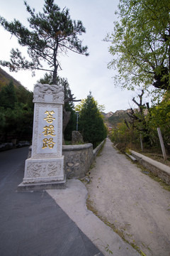 菩提路