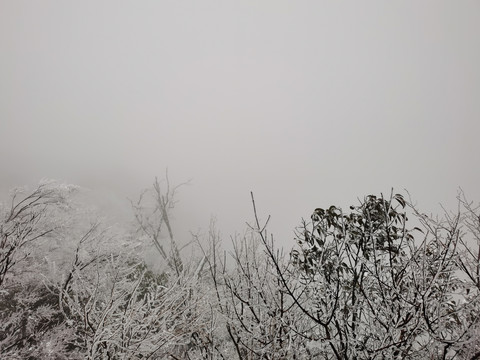 雪景