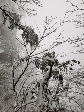 景区雪景