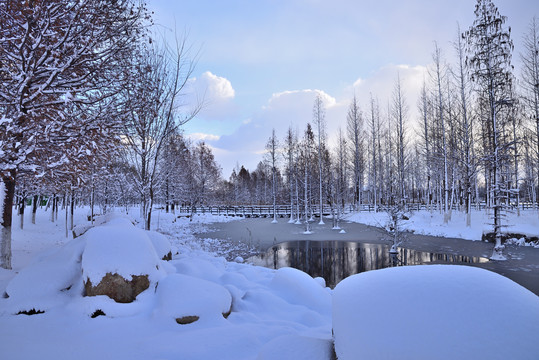 雪景