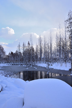 雪景