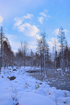 雪景