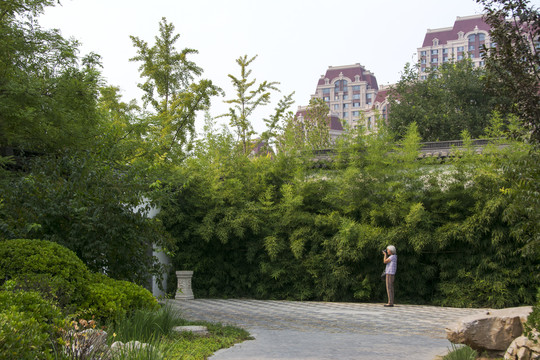 天津城市建设风景