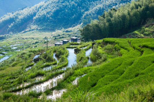 中国山区农村的梯田风光