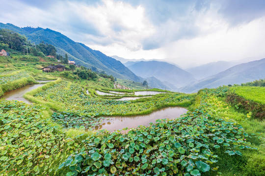 中国山区农村的梯田风光