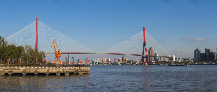 杨浦大桥全景