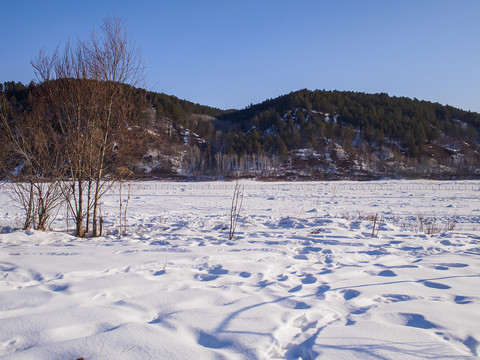 漠河北极村