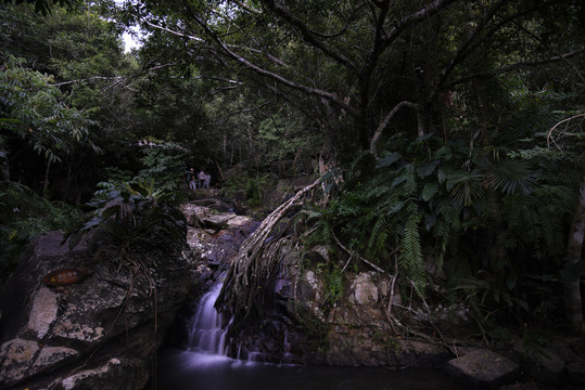 海南热带雨林风光