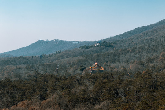 紫金山