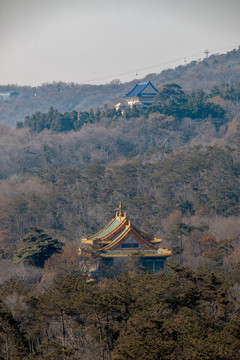 紫金山风景区