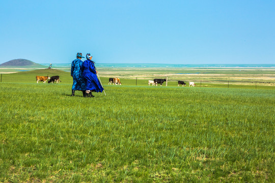 草原蒙古族老人